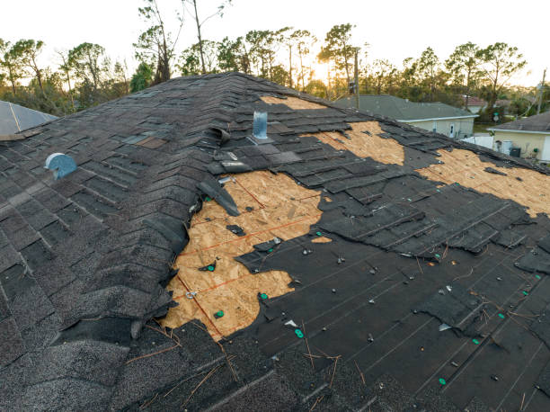 Best Gutter Installation and Repair  in Satellite Beach, FL